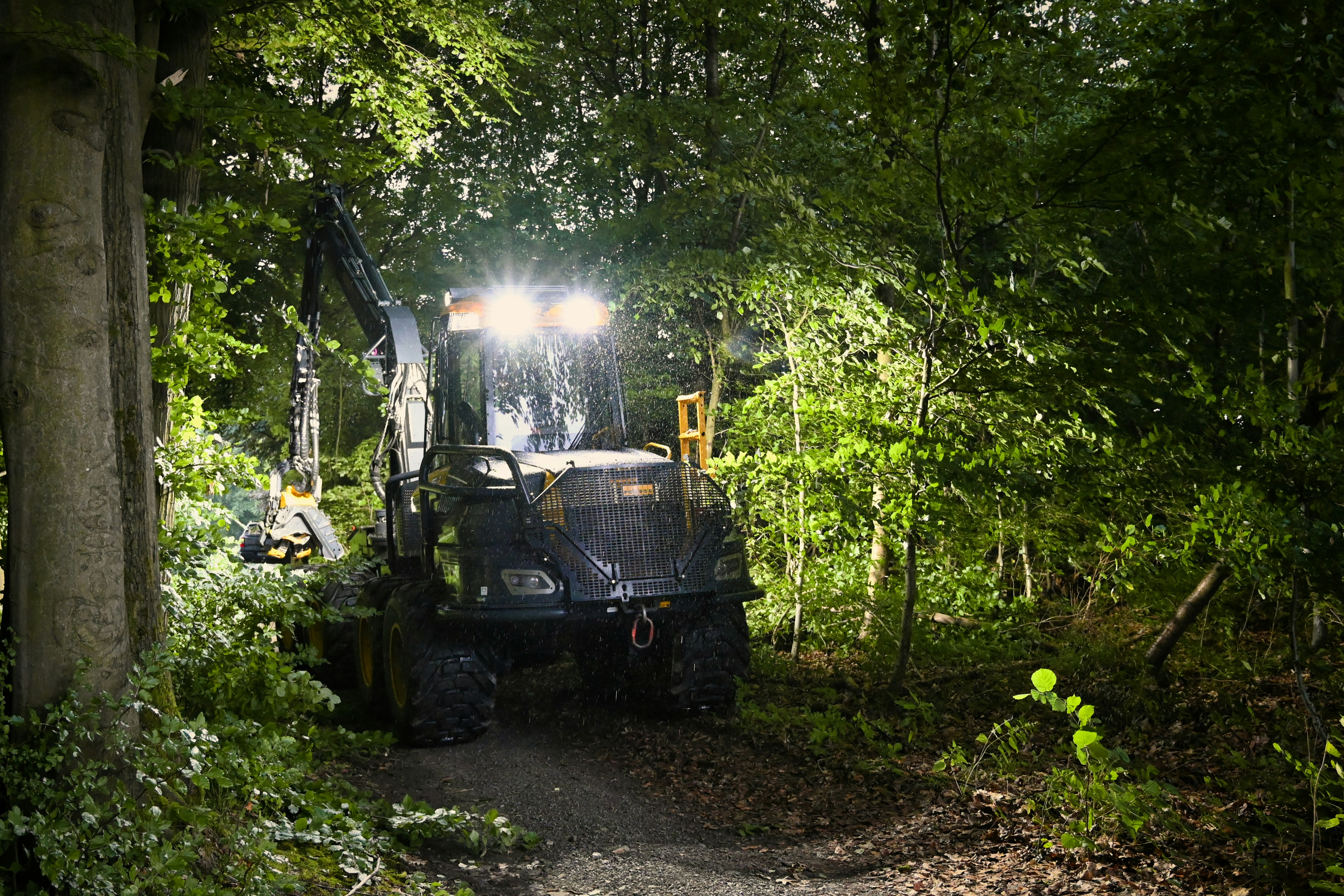 Land & Lot Clearing