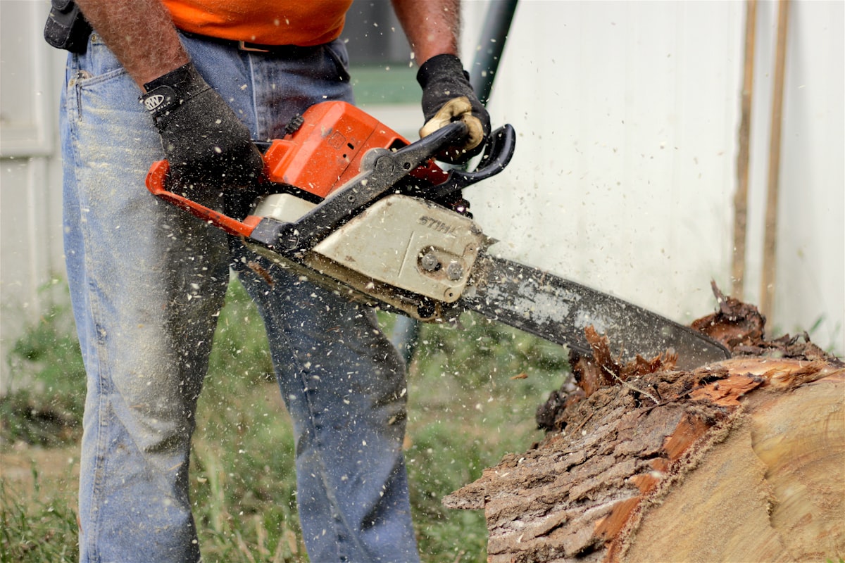 Tree Removal